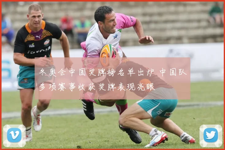 冬奥会中国奖牌榜名单出炉 中国队多项赛事收获奖牌表现亮眼