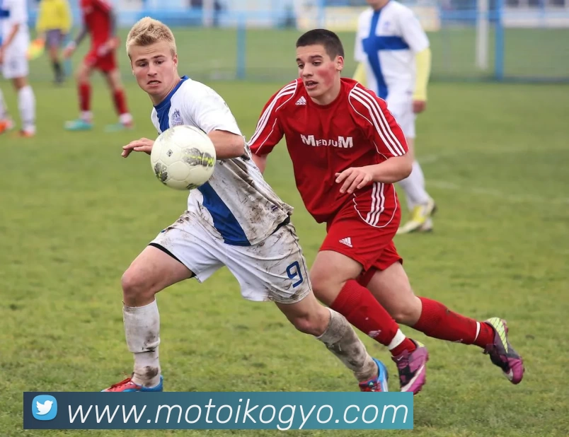 App Interface Preview